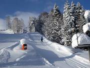 Nordhang-Schlepplift - T-bar