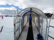 Mouse Trap - People mover/Moving Carpet with cover