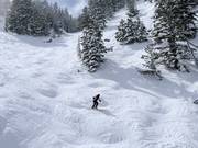 Steep slopes at the Summit Express chairlift