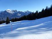 Easy slope Mittelsäss