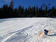 Mobile snow cannon on standby