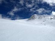 Bacchus B slope No. 2b