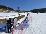 Baby Costa - People mover/Moving Carpet