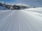 Fresh grooves in the snow