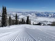 Excellent slope grooming