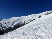 Extensive off-piste terrain at the Hornbahn 2000