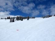 Williamson Bowl downhill run