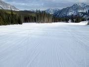 Groomed slope in the Nakiska ski area