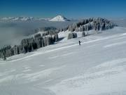 Slopes at Brandstadl with a view of the Hohe Salve