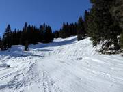 Variants on the black Tröglipiste