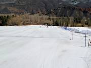 Practice area at the valley station with rope lift