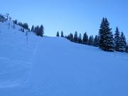 Black slope Lärchenhang