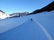 Cross-country trail in Weißenbach