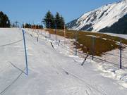 Skikuli - Rope tow/baby lift with low rope tow
