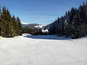 Easy valley run to Radstadt