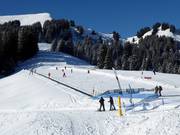Tip for children  - Ski School Pure Trace Les Diablerets