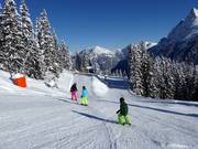 Valley run Schnapfenwald