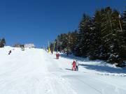 Safe lift rides even for the little ones