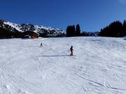 Beginner slope Rosenalm/Plattenangerlift (Zell am Ziller)