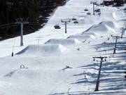 The easy obstacles are also perfectly suitable for children.