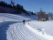 Cross-country skiing Tyrolean Alps – Cross-country skiing SkiWelt Wilder Kaiser-Brixental