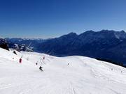 Slope Goldener Pflug