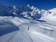 Slope with a view of the Piz Tambo