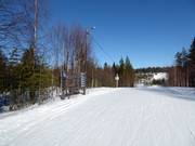 Cross-country ski trails in Pyhä