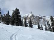 View of Rendezvous Mountain and the Aerial Tram