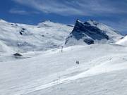 Flat terrain on the Sommerbergalm