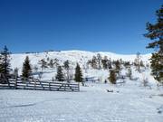 View from the Front Slopes to the summit Levi
