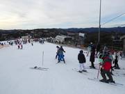 Practice slope at Bourke Street Carpet