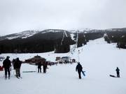 View from the valley station over the Lake Louise ski area