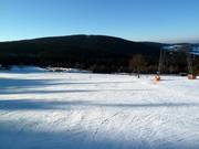 Markbuchen downhill run