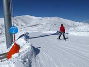 Easy slope Kircherlhang