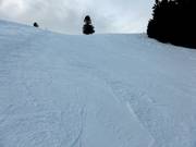 Intermediate Coldwater Run