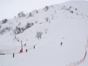 Coq de Bruyères - J-bar