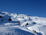 Powder slopes at the Schwamm chairlift