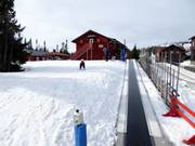 Free magic carpet Skalets Torg