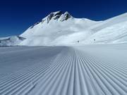 Fresh grooves in the snow