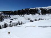 Slopes between Grosseck and Speiereck