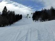 Intermediate slalom slope