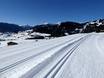 Cross-country skiing Tiroler Oberland (region) – Cross-country skiing Serfaus-Fiss-Ladis