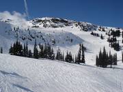 Rocks, couloirs, and open ski terrain