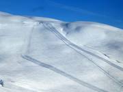 Runs at the Kari Traa T-bar lift