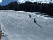 Beginner slope at the Liebenaulift