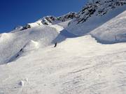 Descent B-Russi-Run from Gemsstock