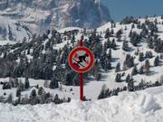 Skiing in the forest is prohibited