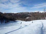 Slope No. 16 Kolašin 1600