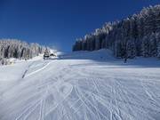 Wide easy slope at the upper Almkopf